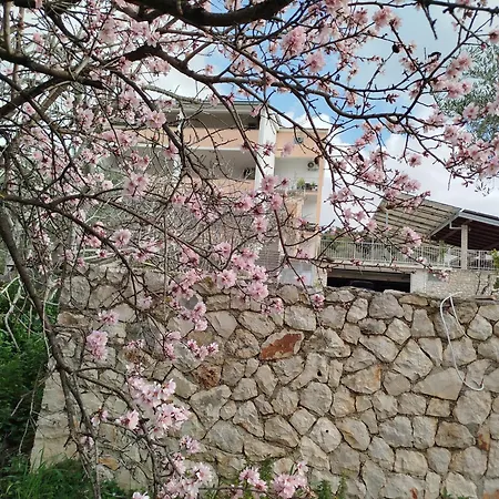 Franjic * Vinisce