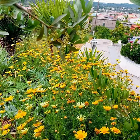 Franjic Apartment *