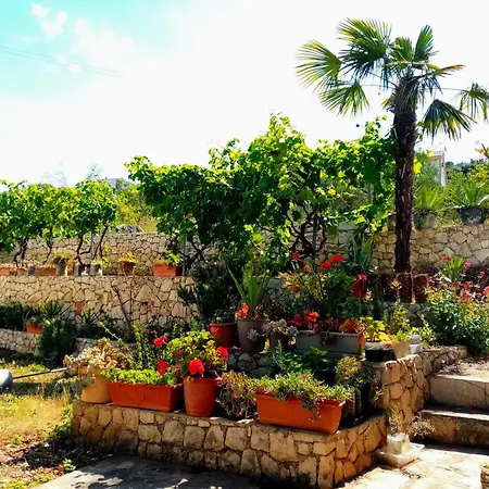 Apartment Franjic *